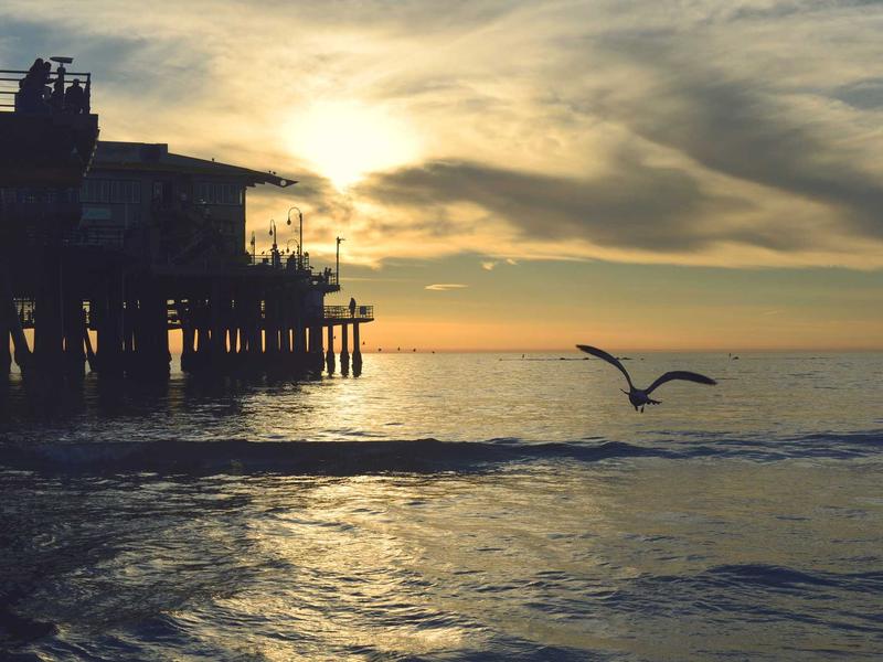身体记忆<br>axbyeqm.cn 肌肉酸痛叙事